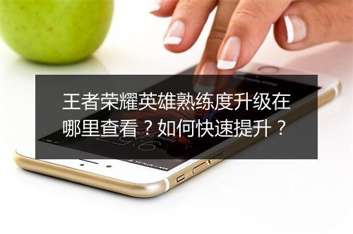 王者荣耀英雄熟练度升级在哪里查看?如何快速提升?
