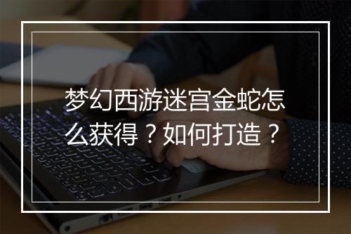 梦幻西游迷宫金蛇怎么获得？如何打造？