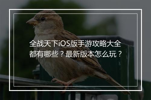 全战天下iOS版手游攻略大全都有哪些?最新版本怎么玩?