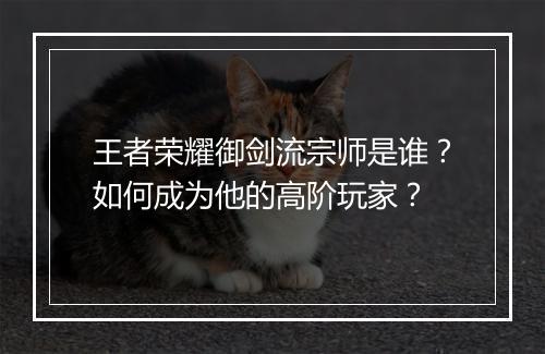 王者荣耀御剑流宗师是谁？如何成为他的高阶玩家？
