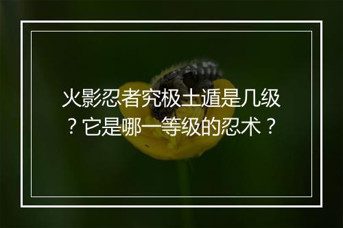 火影忍者究极土遁是几级?它是哪一等级的忍术?