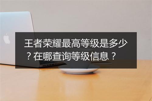 王者荣耀最高等级是多少?在哪查询等级信息?