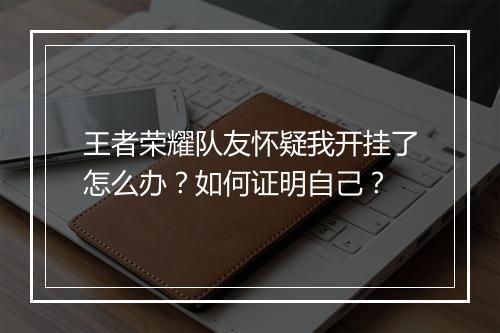 王者荣耀队友怀疑我开挂了怎么办？如何证明自己？