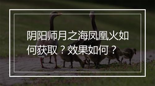 阴阳师月之海凤凰火如何获取？效果如何？