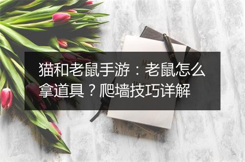 猫和老鼠手游：老鼠怎么拿道具？爬墙技巧详解
