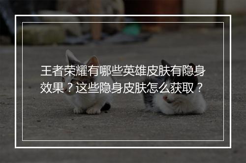 王者荣耀有哪些英雄皮肤有隐身效果？这些隐身皮肤怎么获取？