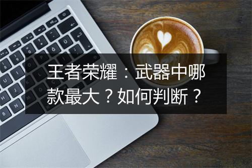 王者荣耀:武器中哪款最大?如何判断?