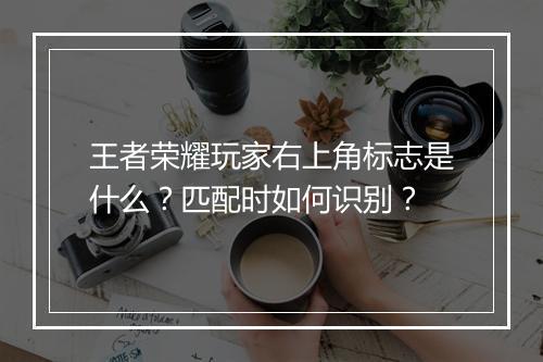 王者荣耀玩家右上角标志是什么?匹配时如何识别?