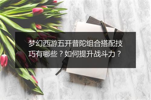 梦幻西游五开普陀组合搭配技巧有哪些？如何提升战斗力？
