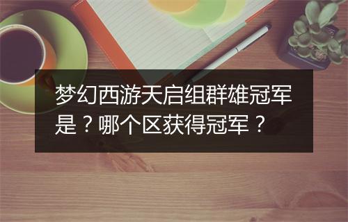 梦幻西游天启组群雄冠军是?哪个区获得冠军?