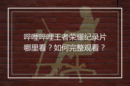 哔哩哔哩王者荣耀纪录片哪里看？如何完整观看？