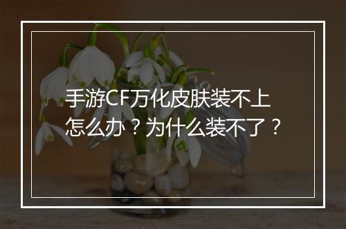 手游CF万化皮肤装不上怎么办？为什么装不了？