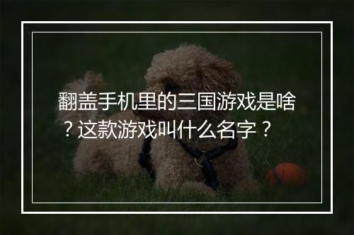翻盖手机里的三国游戏是啥?这款游戏叫什么名字?