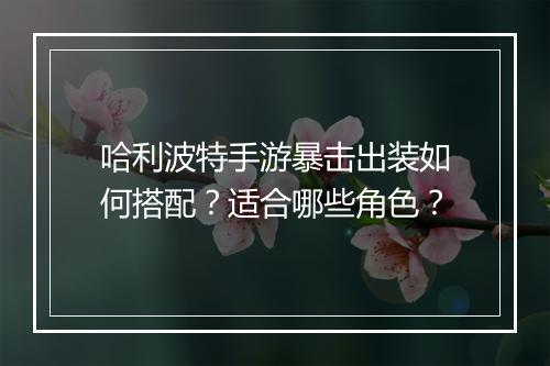 哈利波特手游暴击出装如何搭配？适合哪些角色？