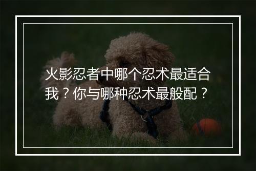 火影忍者中哪个忍术最适合我?你与哪种忍术最般配?
