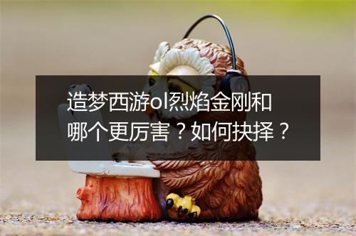 造梦西游ol烈焰金刚和哪个更厉害?如何抉择?
