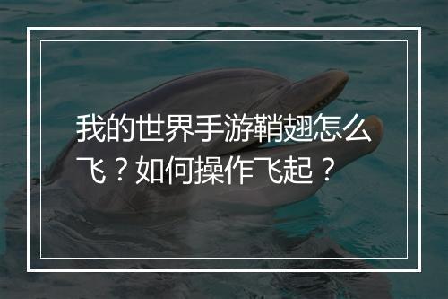 我的世界手游鞘翅怎么飞？如何操作飞起？