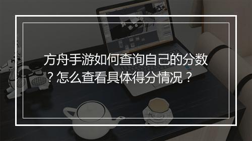方舟手游如何查询自己的分数?怎么查看具体得分情况?