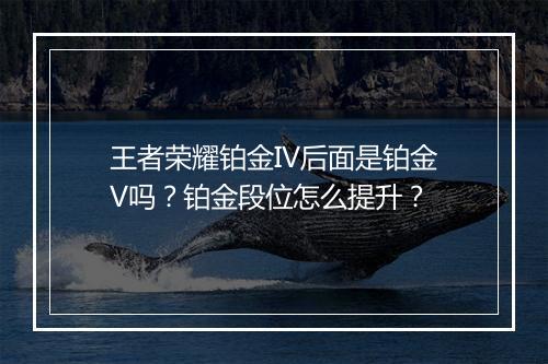 王者荣耀铂金IV后面是铂金V吗?铂金段位怎么提升?