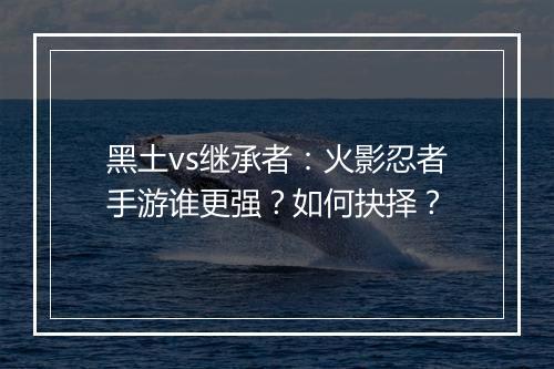 黑土vs继承者：火影忍者手游谁更强？如何抉择？