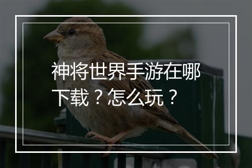 神将世界手游在哪下载?怎么玩?
