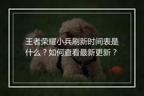王者荣耀小兵刷新时间表是什么?如何查看最新更新?