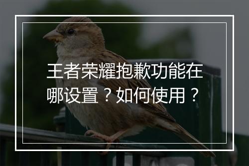 王者荣耀抱歉功能在哪设置?如何使用?