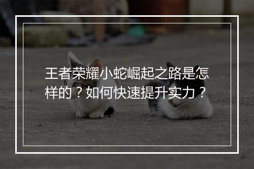 王者荣耀小蛇崛起之路是怎样的?如何快速提升实力?