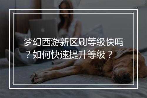梦幻西游新区刷等级快吗?如何快速提升等级?
