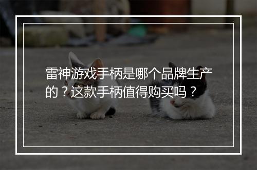 雷神游戏手柄是哪个品牌生产的?这款手柄值得购买吗?