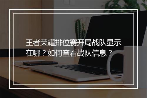 王者荣耀排位赛开局战队显示在哪?如何查看战队信息?