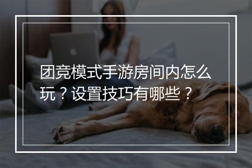 团竞模式手游房间内怎么玩?设置技巧有哪些?