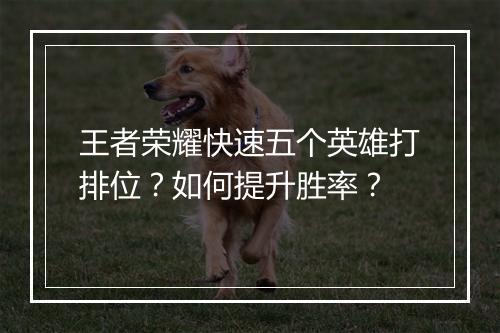 王者荣耀快速五个英雄打排位?如何提升胜率?