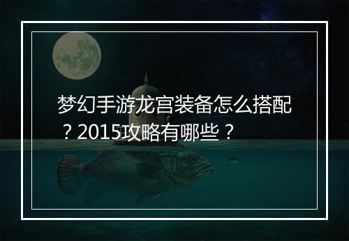 梦幻手游龙宫装备怎么搭配?2015攻略有哪些?