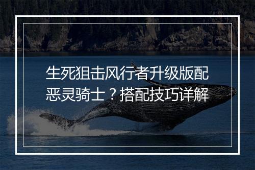 生死狙击风行者升级版配恶灵骑士?搭配技巧详解