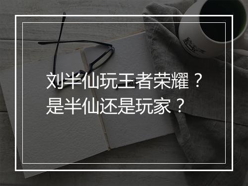 刘半仙玩王者荣耀?是半仙还是玩家?