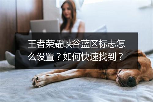 王者荣耀峡谷蓝区标志怎么设置?如何快速找到?
