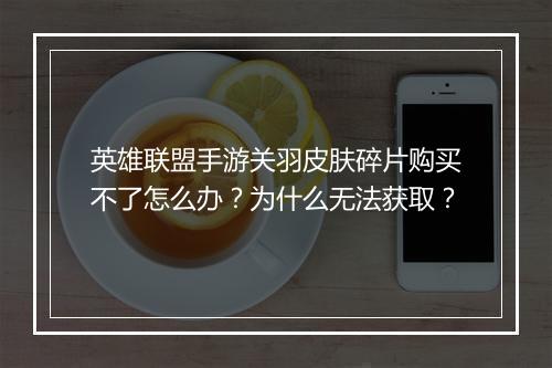 英雄联盟手游关羽皮肤碎片购买不了怎么办?为什么无法获取?