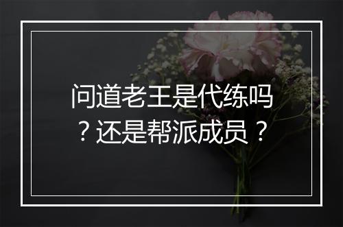 问道老王是代练吗?还是帮派成员?