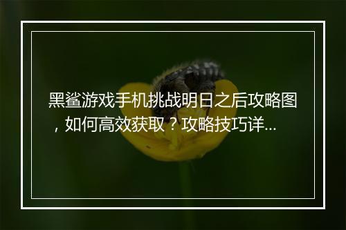 黑鲨游戏手机挑战明日之后攻略图,如何高效获取?攻略技巧详解!