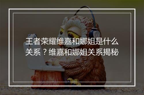 王者荣耀维嘉和娜姐是什么关系?维嘉和娜姐关系揭秘