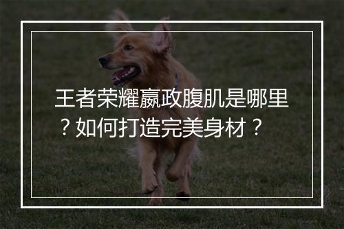 王者荣耀嬴政腹肌是哪里?如何打造完美身材?