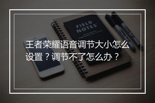 王者荣耀语音调节大小怎么设置？调节不了怎么办？