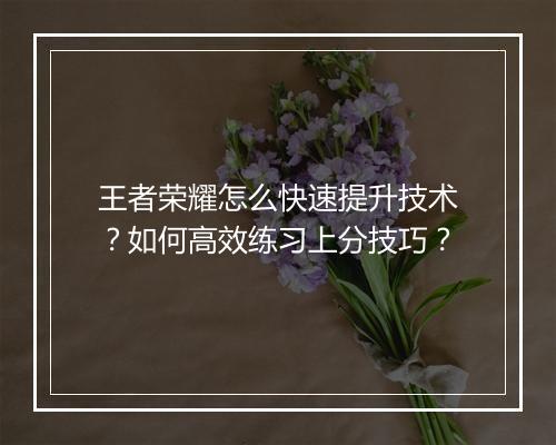 王者荣耀怎么快速提升技术?如何高效练习上分技巧?