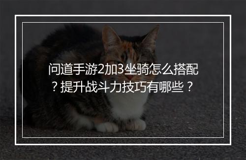 问道手游2加3坐骑怎么搭配?提升战斗力技巧有哪些?