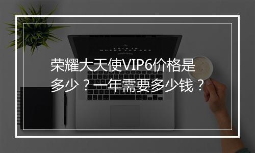 荣耀大天使VIP6价格是多少?一年需要多少钱?