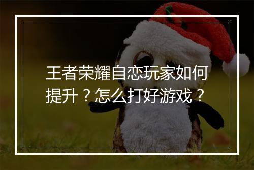 王者荣耀自恋玩家如何提升?怎么打好游戏?