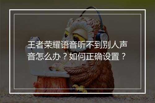 王者荣耀语音听不到别人声音怎么办?如何正确设置?