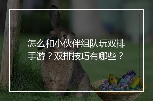 怎么和小伙伴组队玩双排手游?双排技巧有哪些?