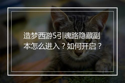 造梦西游5引魂路隐藏副本怎么进入?如何开启?